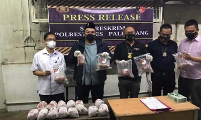 Satreskrim Unit Pidsus Polrestabes Palembang, Grebek Gudang Ikan Berformalin – DIVISI HUMAS POLRI – Polripresisi.com