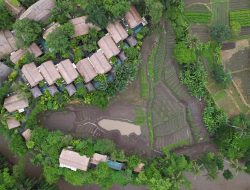 Perempuan di Seluruh Dunia, Sambutlah Program Retreat Kesehatan Terbaru dari Fivelements Retreat Bali