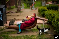 Tiraje Kestelli berbaring di kursi bersama kucing-kucing liar yang sering ia beri makan di taman Macka di Istanbul, Turki (foto: ilustrasi).