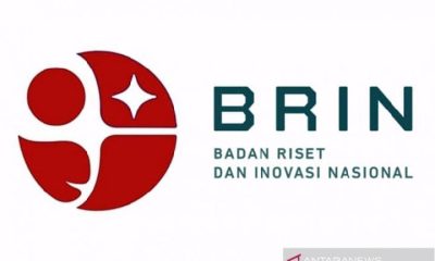 Logo baru Badan Riset dan Inovasi Nasional (BRIN) yang diluncurkan pada Hari Kebangkitan Teknologi Nasional (Hakteknas) ke-26 pada 10 Agustus 2021. (ANTARA/HO-Humas BRIN/am/uyu)