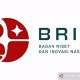 Logo baru Badan Riset dan Inovasi Nasional (BRIN) yang diluncurkan pada Hari Kebangkitan Teknologi Nasional (Hakteknas) ke-26 pada 10 Agustus 2021. (ANTARA/HO-Humas BRIN/am/uyu)