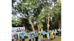 GBK Jadi Lautan Hijau: Ribuan Peserta Ikut Green Democracy Fun Walk Bersama DPD RI