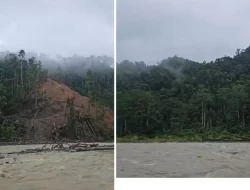Hutan yang Kembali Tumbuh, Sungai yang Tetap Menghidupi